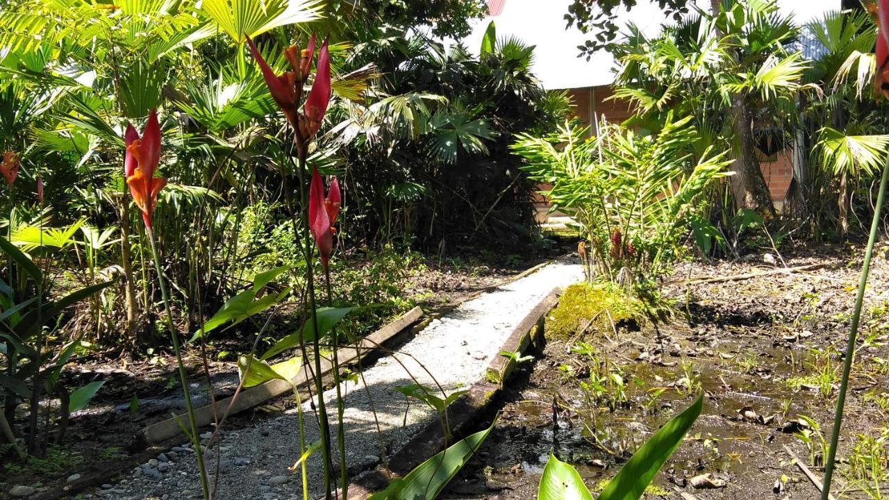 Misahualli Laguna Paikawe B&B Exterior foto