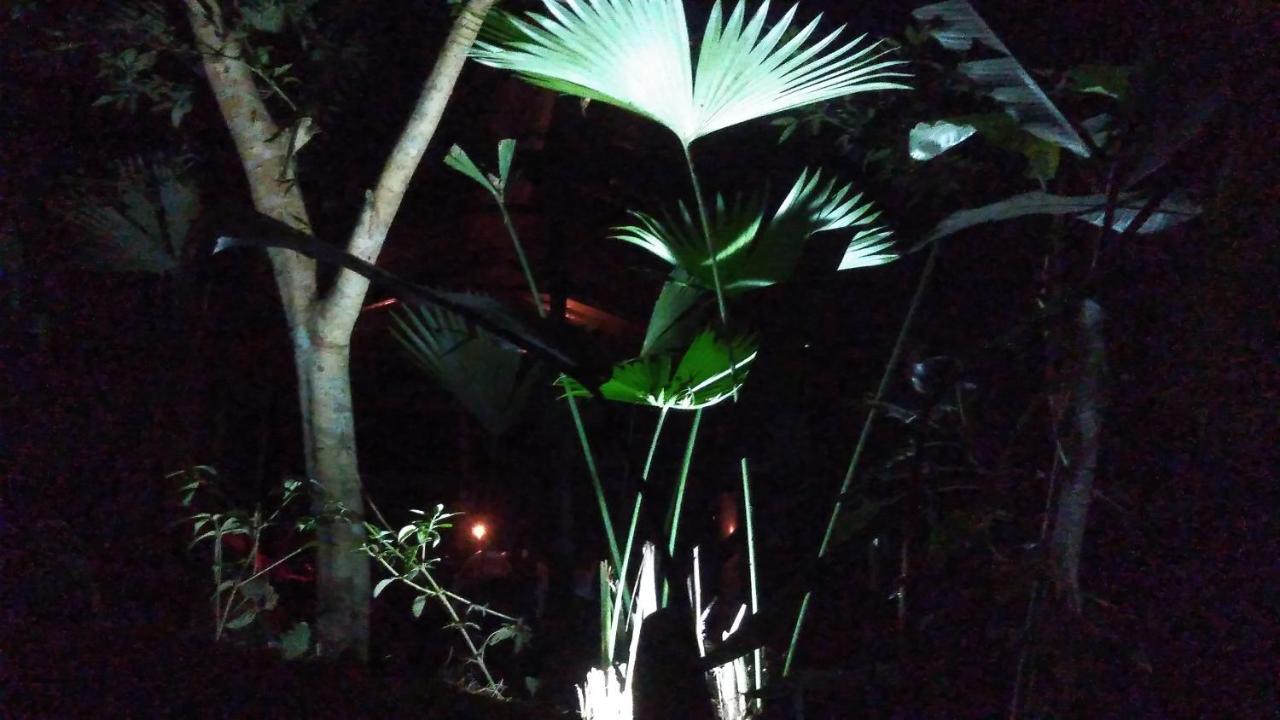 Misahualli Laguna Paikawe B&B Exterior foto